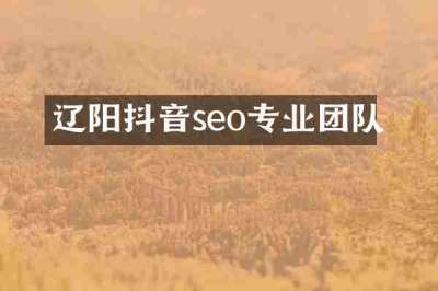 辽阳抖音seo专业团队