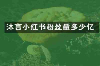 沐言小红书粉丝量多少亿