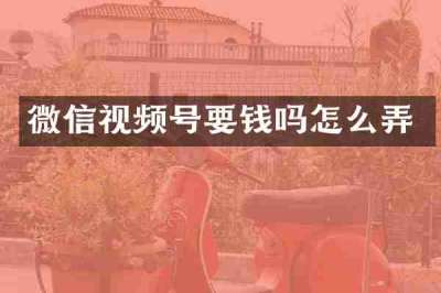 微信视频号要钱吗怎么弄