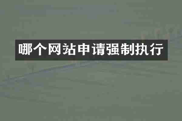 哪个网站申请强制执行