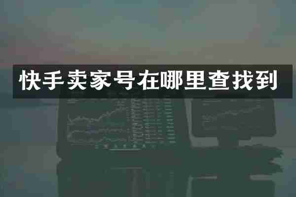 快手卖家号在哪里查找到