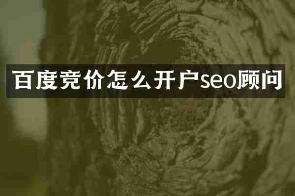 百度竞价怎么开户seo顾问
