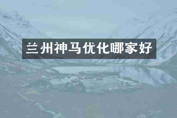 兰州神马优化哪家好