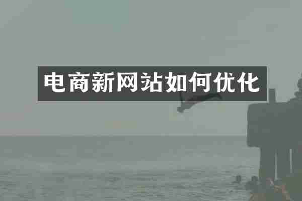 电商新网站如何优化