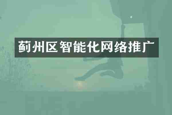 蓟州区智能化网络推广