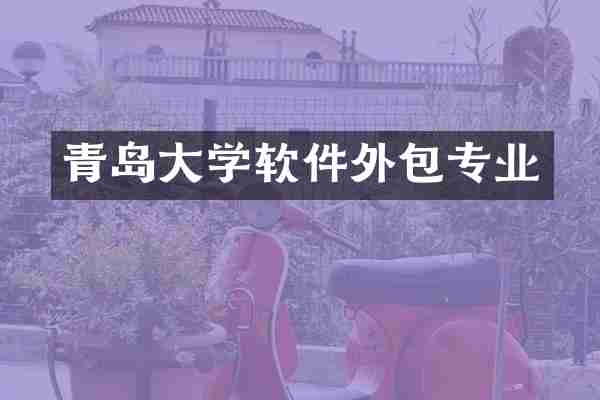 青岛大学软件外包专业