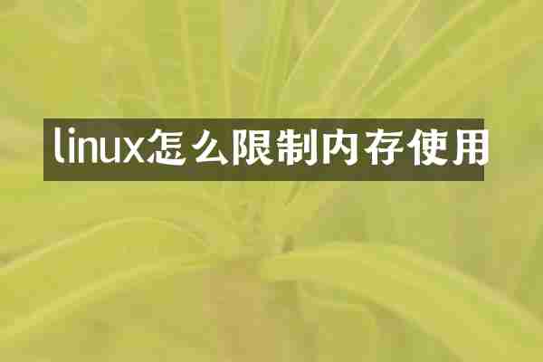 linux怎么限制内存使用