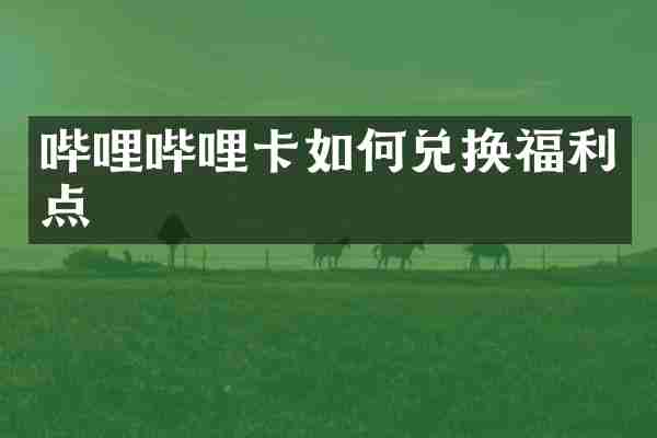 哔哩哔哩卡如何兑换福利点