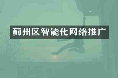 蓟州区智能化网络推广