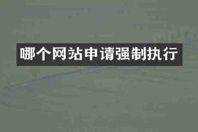 哪个网站申请强制执行