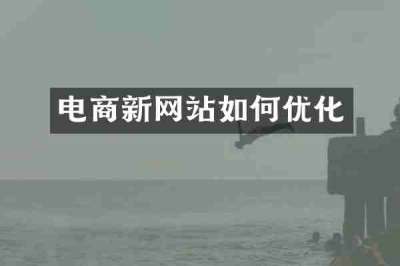 电商新网站如何优化