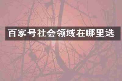百家号社会领域在哪里选