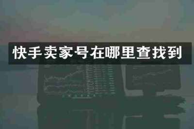 快手卖家号在哪里查找到