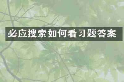 必应搜索如何看习题答案