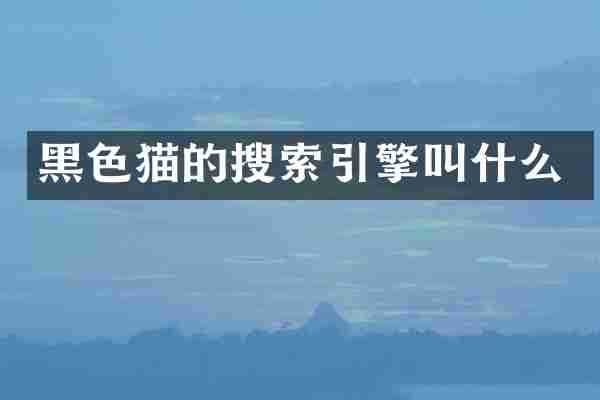 黑的搜索引擎叫什么