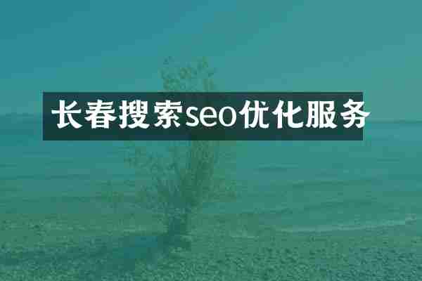 长春搜索seo优化服务