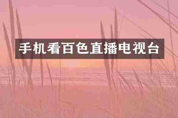 手机看百色直播电视台