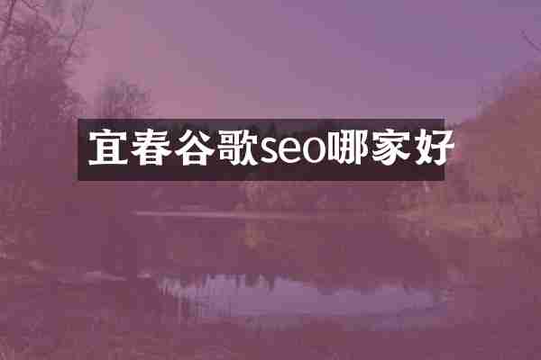 宜春谷歌seo哪家好