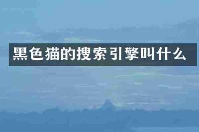 黑色猫的搜索引擎叫什么