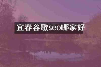 宜春谷歌seo哪家好