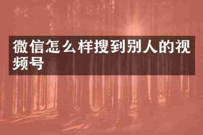 微信怎么样搜到别人的视频号