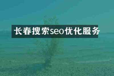 长春搜索seo优化服务