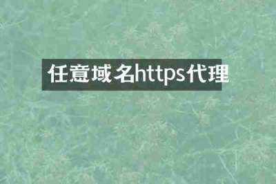 任意域名https代理