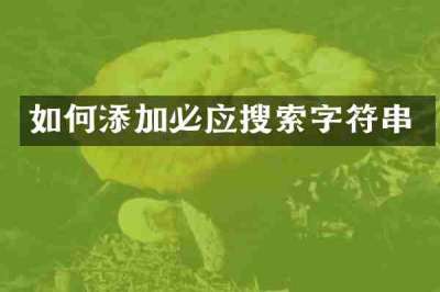如何添加必应搜索字符串