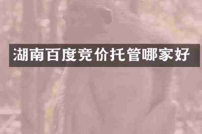 湖南百度竞价托管哪家好