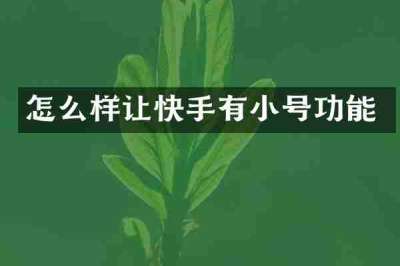 怎么样让快手有小号功能