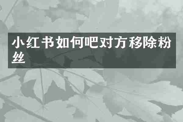 小红书如何吧对方移除粉丝