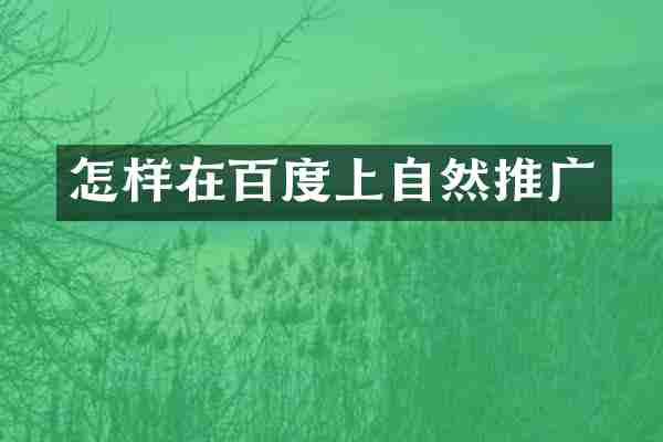 怎样在百度上自然推广