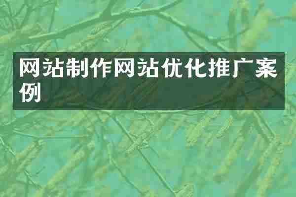 网站制作网站优化推广案例