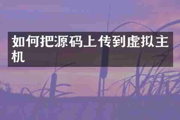 如何把源码上传到虚拟主机