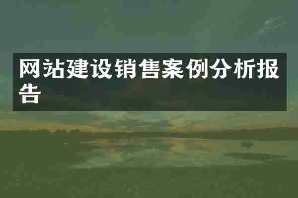 网站建设销售案例分析报告