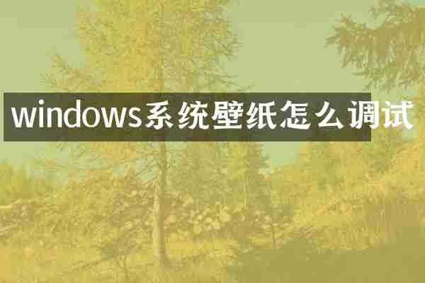 windows系统壁纸怎么调试