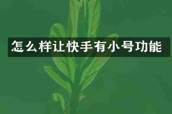 怎么样让快手有小号功能