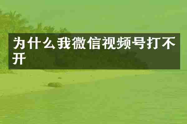 为什么我微信视频号打不开
