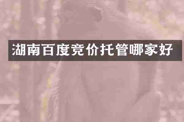 湖南百度竞价托管哪家好