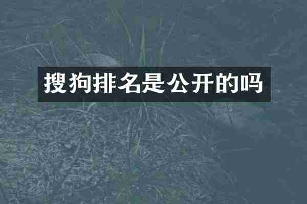 搜狗排名是公开的吗