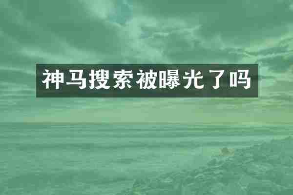 神马搜索被曝光了吗
