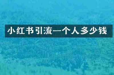 小红书引流一个人多少钱
