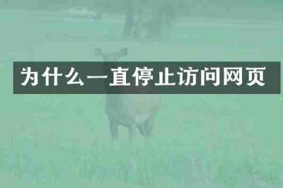 为什么一直停止访问网页