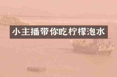 小主播带你吃柠檬泡水