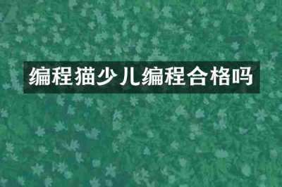 编程猫少儿编程合格吗