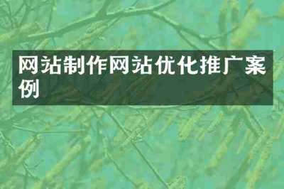 网站制作网站优化推广案例