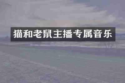 猫和老鼠主播专属音乐