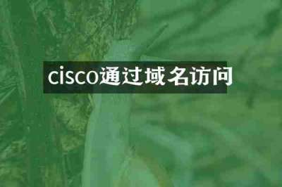 cisco通过域名访问