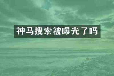 神马搜索被曝光了吗