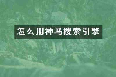 怎么用神马搜索引擎